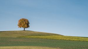 Preview wallpaper tree, field, hills, cloud, landscape