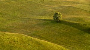 Preview wallpaper tree, field, hills, relief, landscape