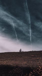 Preview wallpaper tree, field, horizon, sky, grass, clouds