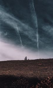 Preview wallpaper tree, field, horizon, sky, grass, clouds