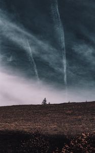 Preview wallpaper tree, field, horizon, sky, grass, clouds
