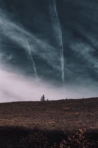Preview wallpaper tree, field, horizon, sky, grass, clouds