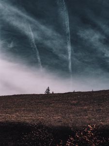 Preview wallpaper tree, field, horizon, sky, grass, clouds