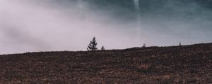 Preview wallpaper tree, field, horizon, sky, grass, clouds