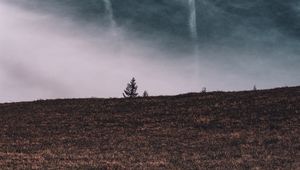 Preview wallpaper tree, field, horizon, sky, grass, clouds