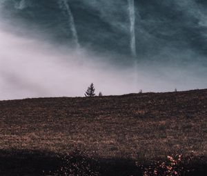 Preview wallpaper tree, field, horizon, sky, grass, clouds
