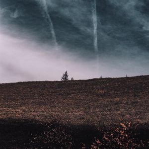 Preview wallpaper tree, field, horizon, sky, grass, clouds