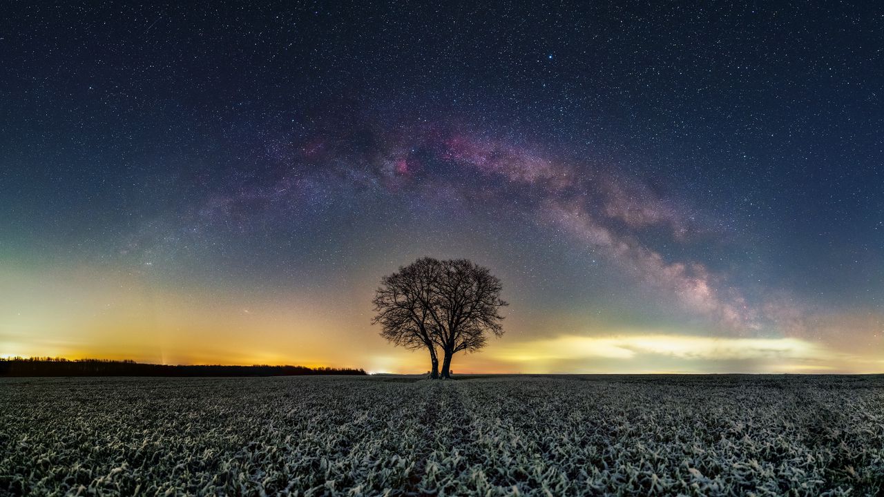 Wallpaper tree, field, milky way, stars, night, nature