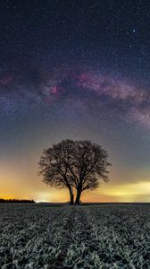Preview wallpaper tree, field, milky way, stars, night, nature