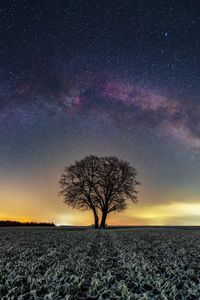 Preview wallpaper tree, field, milky way, stars, night, nature