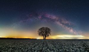 Preview wallpaper tree, field, milky way, stars, night, nature