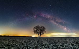 Preview wallpaper tree, field, milky way, stars, night, nature