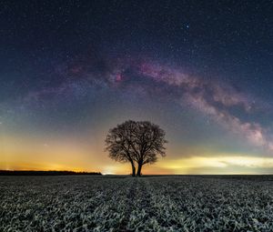 Preview wallpaper tree, field, milky way, stars, night, nature