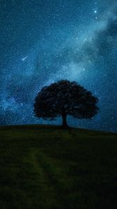 Preview wallpaper tree, field, night, stars, horizon