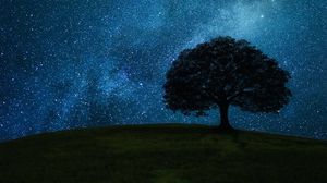 Preview wallpaper tree, field, night, stars, horizon