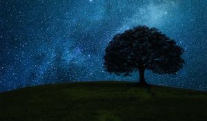 Preview wallpaper tree, field, night, stars, horizon