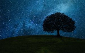 Preview wallpaper tree, field, night, stars, horizon