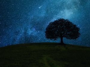 Preview wallpaper tree, field, night, stars, horizon