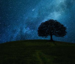 Preview wallpaper tree, field, night, stars, horizon
