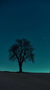 Preview wallpaper tree, field, night, starry sky, dark