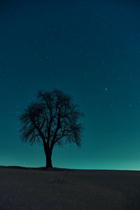 Preview wallpaper tree, field, night, starry sky, dark