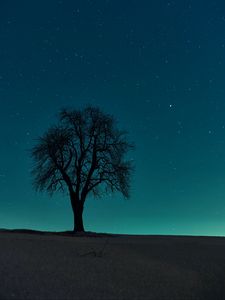 Preview wallpaper tree, field, night, starry sky, dark