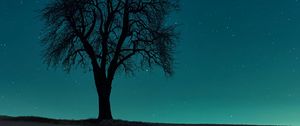 Preview wallpaper tree, field, night, starry sky, dark