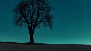 Preview wallpaper tree, field, night, starry sky, dark