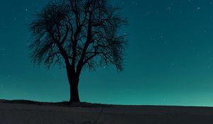 Preview wallpaper tree, field, night, starry sky, dark