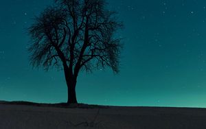Preview wallpaper tree, field, night, starry sky, dark