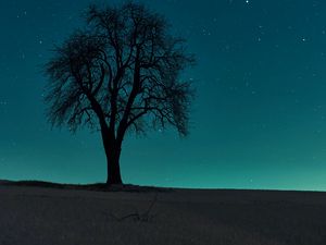 Preview wallpaper tree, field, night, starry sky, dark