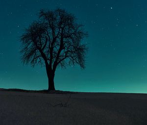 Preview wallpaper tree, field, night, starry sky, dark