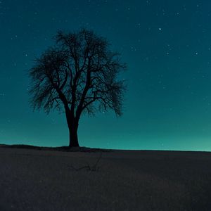 Preview wallpaper tree, field, night, starry sky, dark