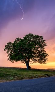 Preview wallpaper tree, field, road, grass