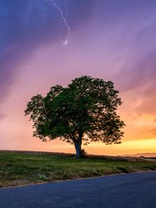 Preview wallpaper tree, field, road, grass