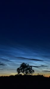 Preview wallpaper tree, field, sky, twilight, dark