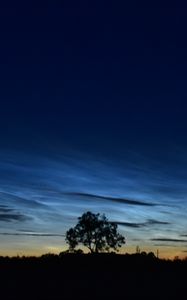 Preview wallpaper tree, field, sky, twilight, dark