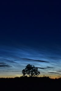 Preview wallpaper tree, field, sky, twilight, dark