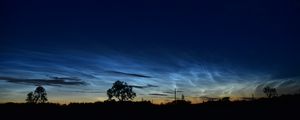 Preview wallpaper tree, field, sky, twilight, dark