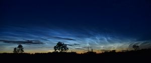 Preview wallpaper tree, field, sky, twilight, dark