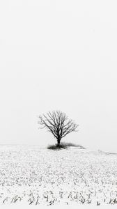 Preview wallpaper tree, field, snow, winter, white