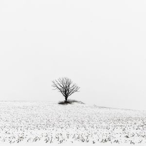 Preview wallpaper tree, field, snow, winter, white
