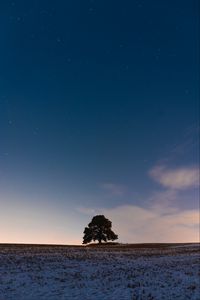 Preview wallpaper tree, field, snow, dusk, nature