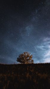 Preview wallpaper tree, field, stars, night, sky, landscape