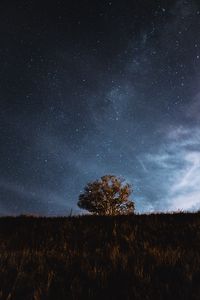 Preview wallpaper tree, field, stars, night, sky, landscape