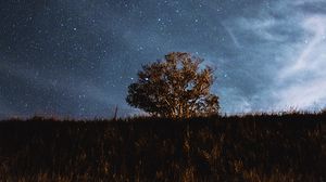 Preview wallpaper tree, field, stars, night, sky, landscape