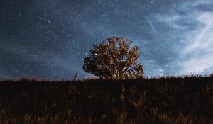 Preview wallpaper tree, field, stars, night, sky, landscape