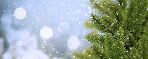 Preview wallpaper tree, fir, snow