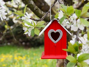 Preview wallpaper tree, flowers, branch, birdhouse