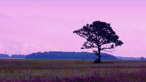 Preview wallpaper tree, flowers, grass, trees